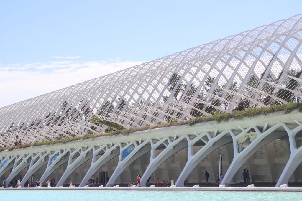 Things To Do in Valencia